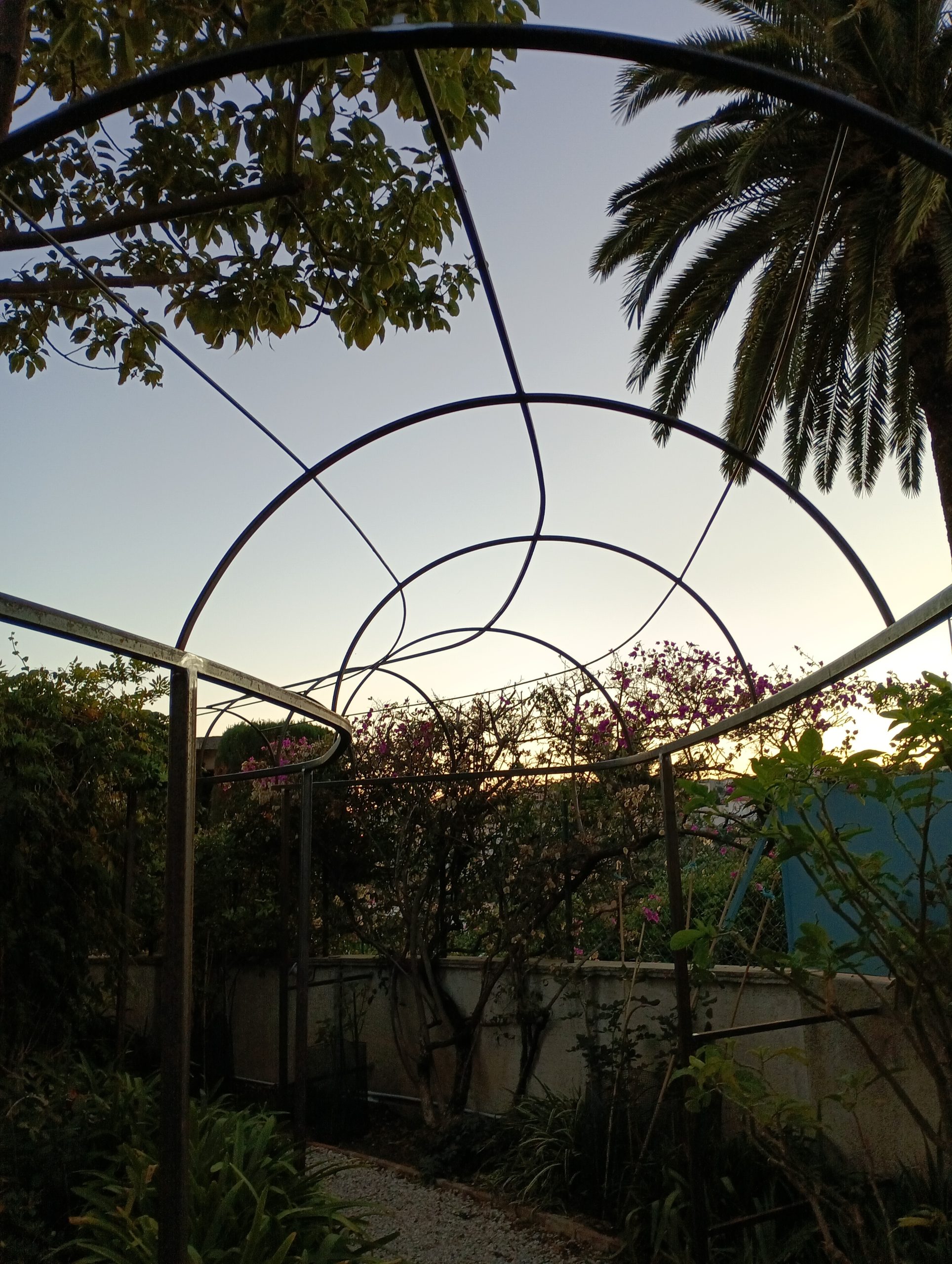 tonnelle pour plantes grimpantes dans un jardin au coucher du soleil