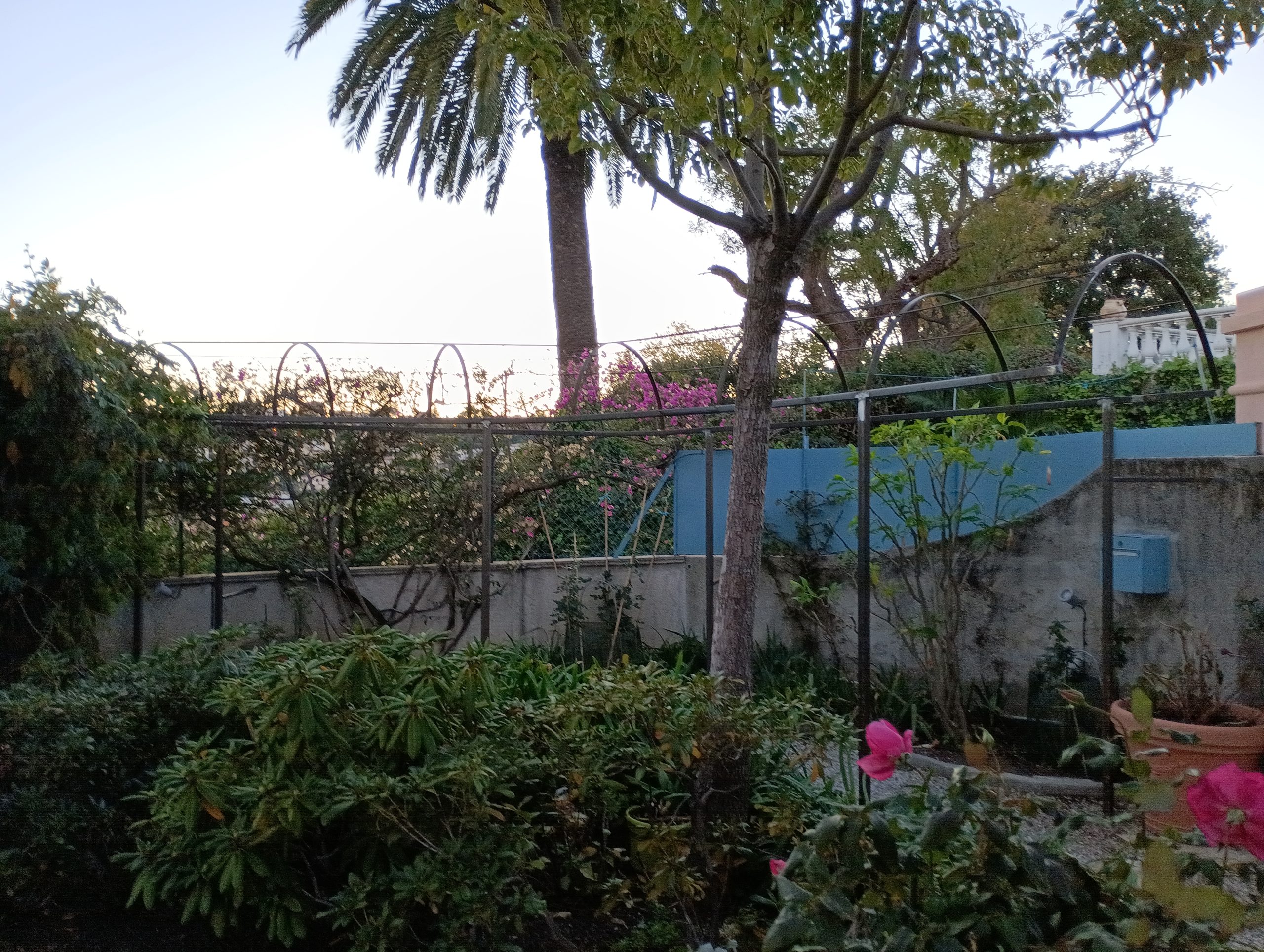 Tonnelle faite sur mesure dans un jardin de Nice avec des plantes et des palmiers